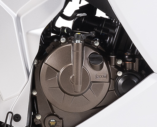 250cc SEP Engine